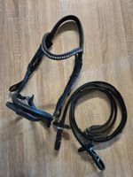 Zaumzeug Pony Cob Isländer