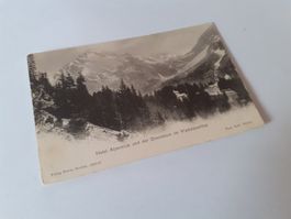 MADERANERTAL - HOTEL ALPENKLUB und DUESSISTOCK
