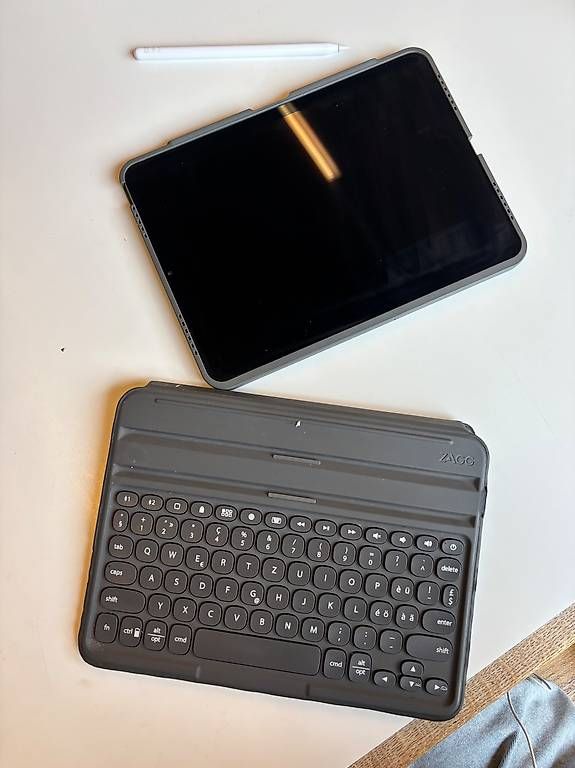 Apple Tablet PC: iPad Air 5 génération 256 Go Bleu + Apple Pencil2 + Clavier – Usato da Vionnaz venduto da mar_7ypv