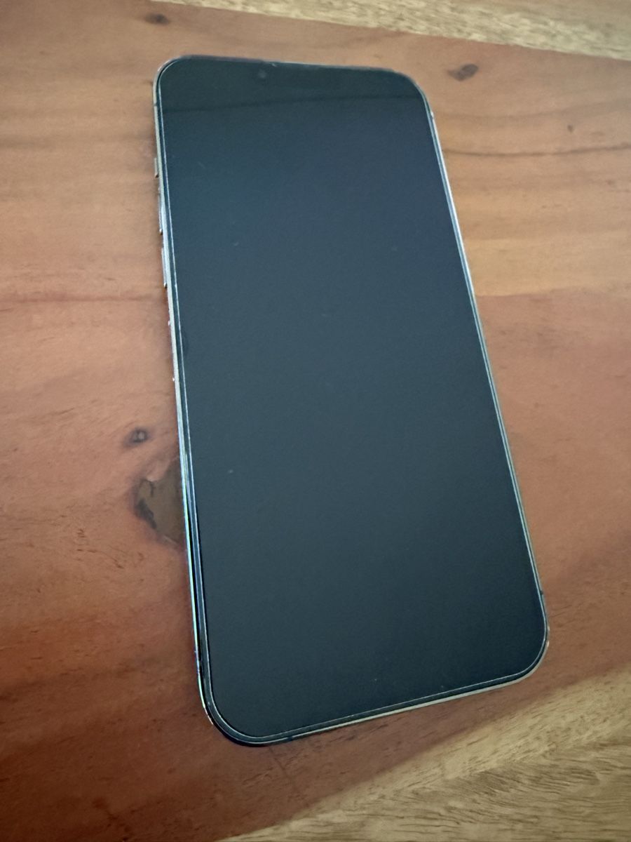 Apple Telefoni cellulari / Smartphones: iPhone 13 Pro Max 256 GB ab 1 CHF – Usato da Pratteln venduto da Helveticar 1