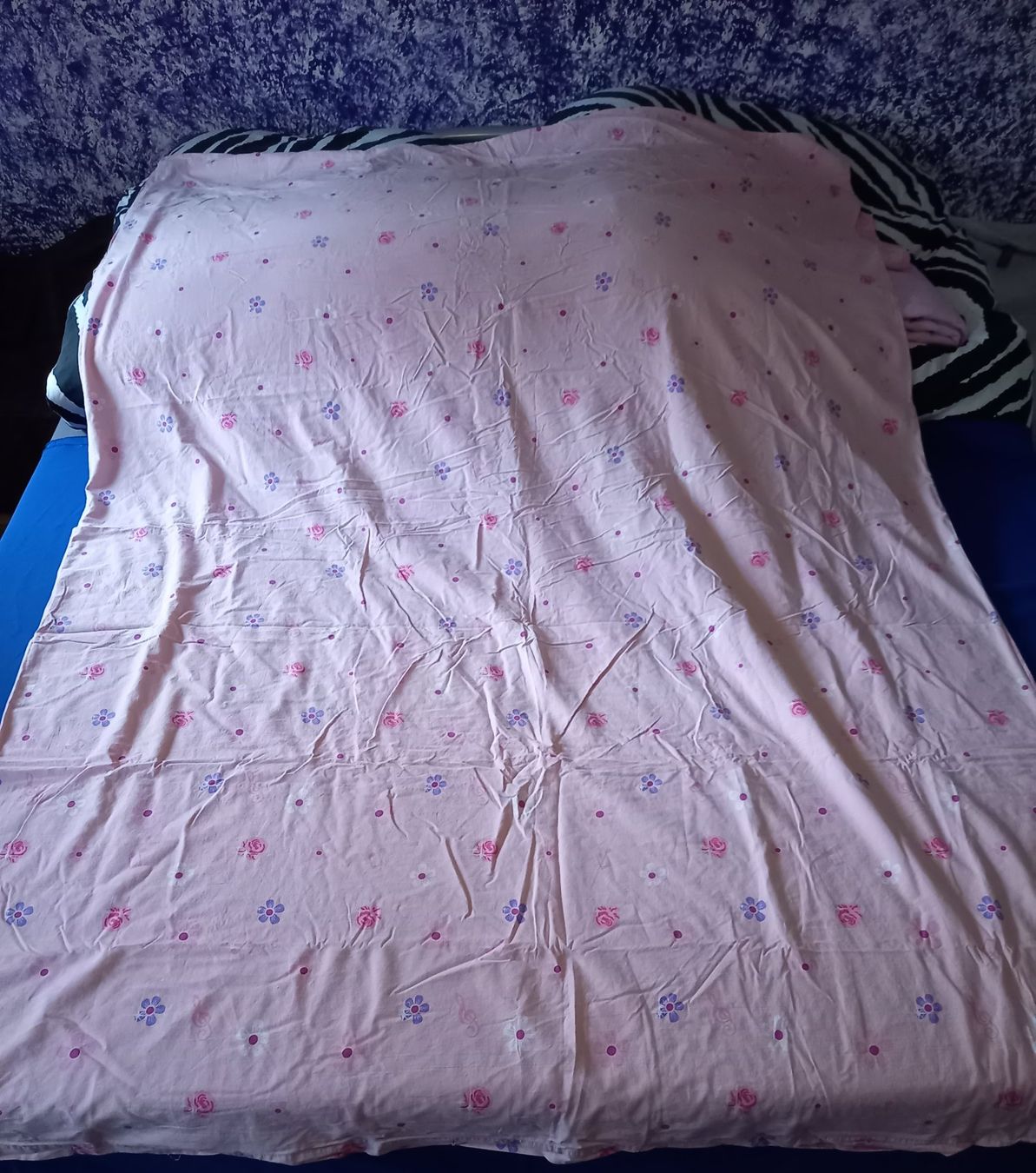 Biancheria da letto: Bettwäsche – Usato da Wald zh venduto da feusi70 1