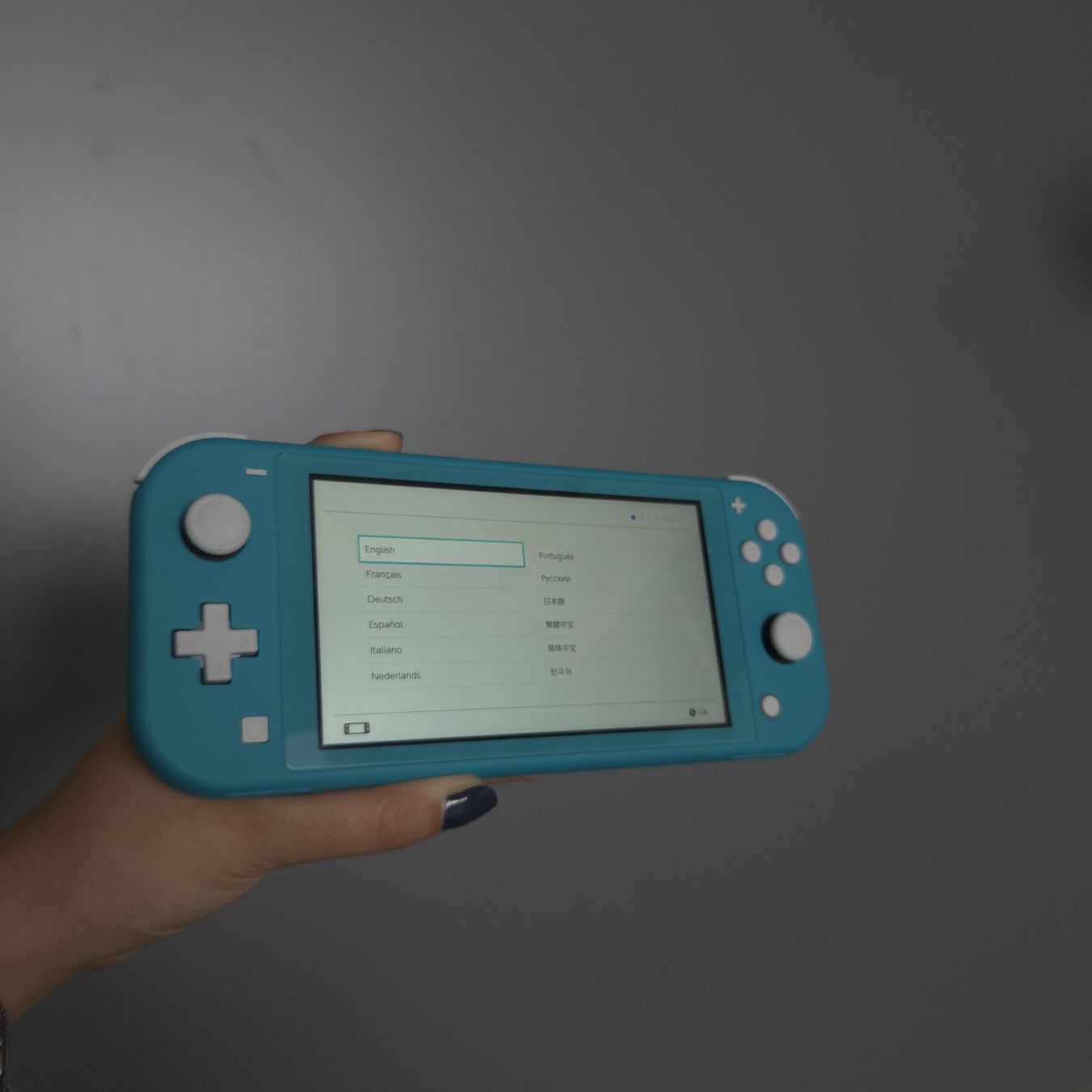 Nintendo Console: Nintendo Switch Lite – Nuovo (secondo la descrizione) da Biel/Bienne venduto da Leandren 4
