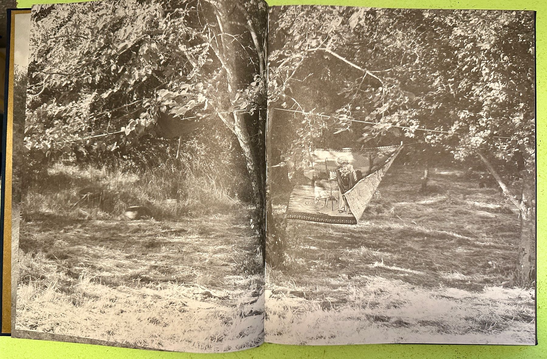 Libri: Craigie Aitchison: 'Pictures'. – Usato da Zürich venduto da allp 1