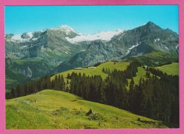 Gstaad 1050m Wispile mit Wildhorn