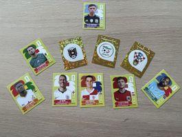 Stickers panini 