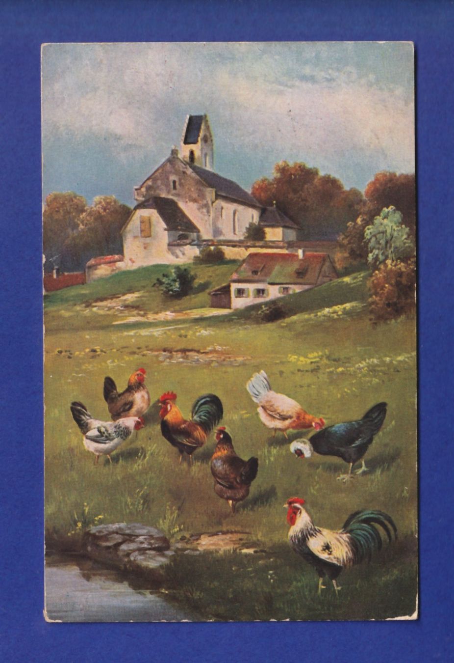 Cartes postales: OISEAU - Coq / Poules – D'occasion à Pully par nicecards-shop