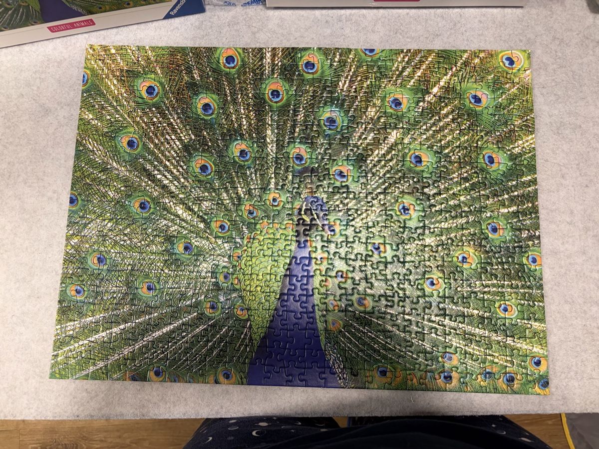 Ravensburger Puzzles: Puzzle Pfau 500 Teile – Gebraucht aus Laupersdorf von eliza23