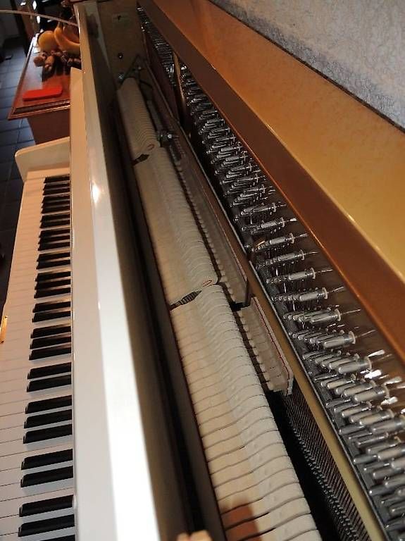Strumenti musicali: Piano Sauter Special Edition True Love – Usato da Wettingen venduto da Wett91 3