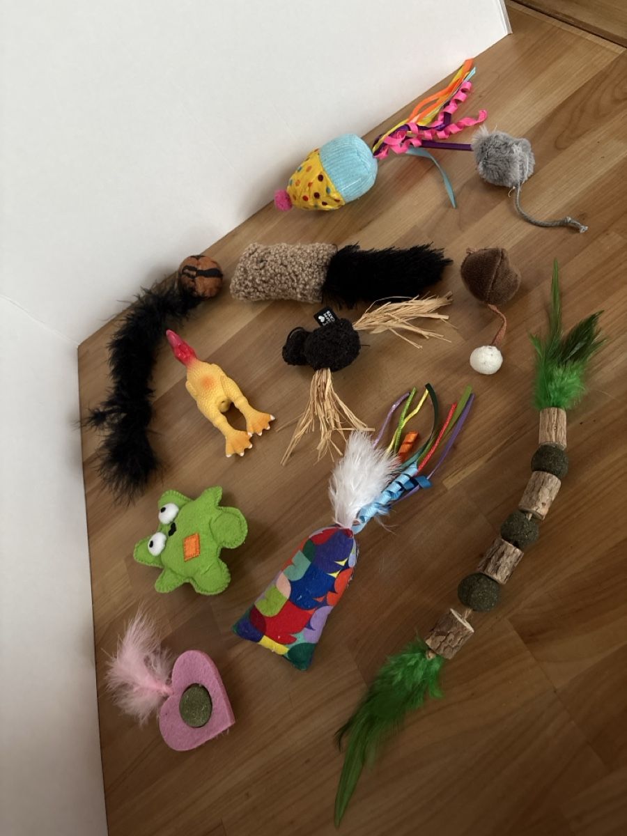 Giocattoli: Katzen Spielzeug Set – Nuovo (secondo la descrizione) da Rümlang venduto da BoutiqueBoutique16