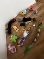 Katzen Spielzeug Set