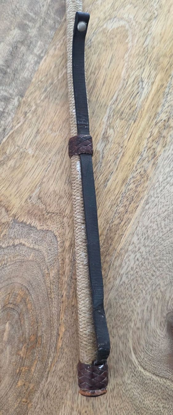 Autres accessoires pour animaux: Reitgerte Leder mit Kordel – D'occasion à Rheinsulz par Dred