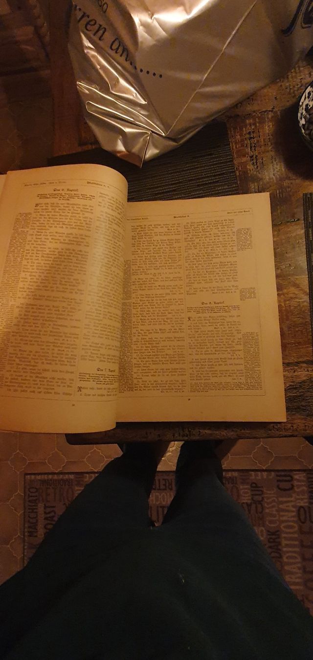 Libri: Buch Das Neue Testament illustriert 1892 – Usato da Baden venduto da Hilda7 3