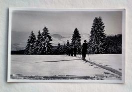 Skisport am Rossberg