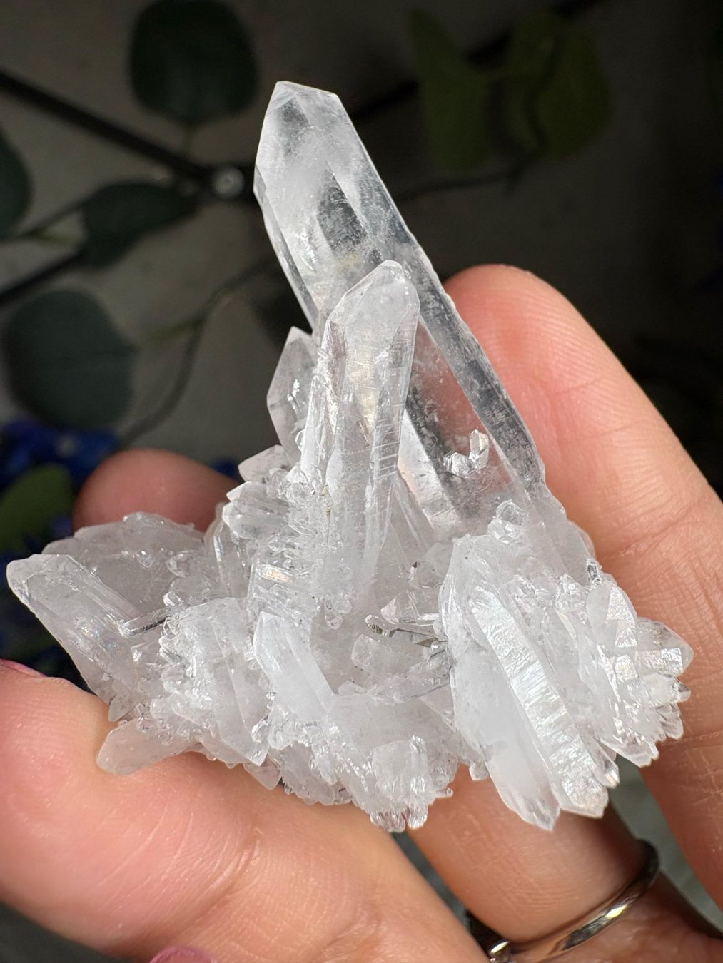 Minerali & Pietre curative: Kolumbianischer Lemurian-Quarz-Cluster – Nuovo (secondo la descrizione) da Neuheim venduto da m.hald 7