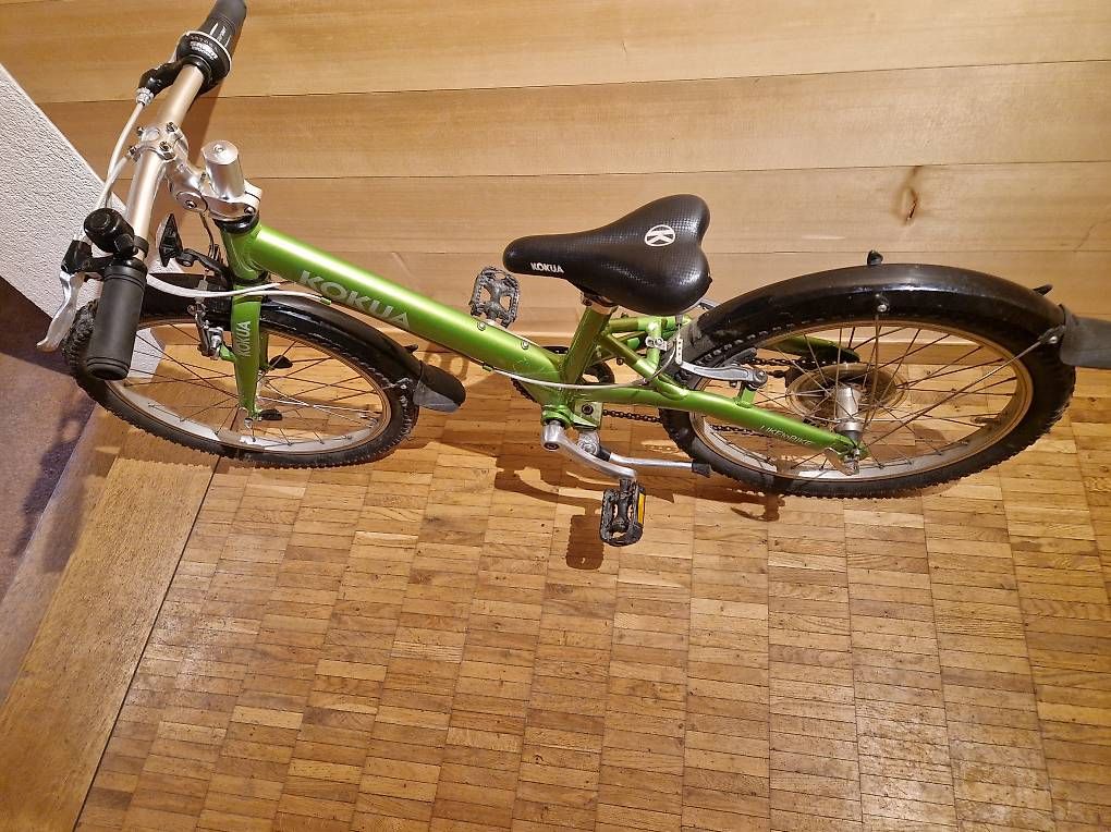 Biciclette: Kokua 20" – Usato da Zweisimmen venduto da thomi887 4
