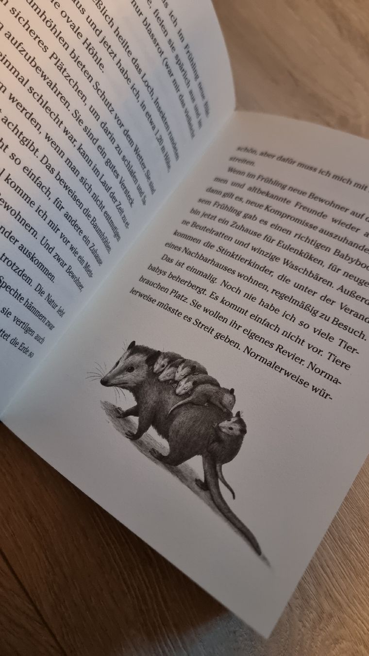 Bücher: Baum der Wünsche - Katherine Applegate, neuwertig! – Neu (gemäss Beschreibung) aus Wigoltingen von Zuckerfee84 2