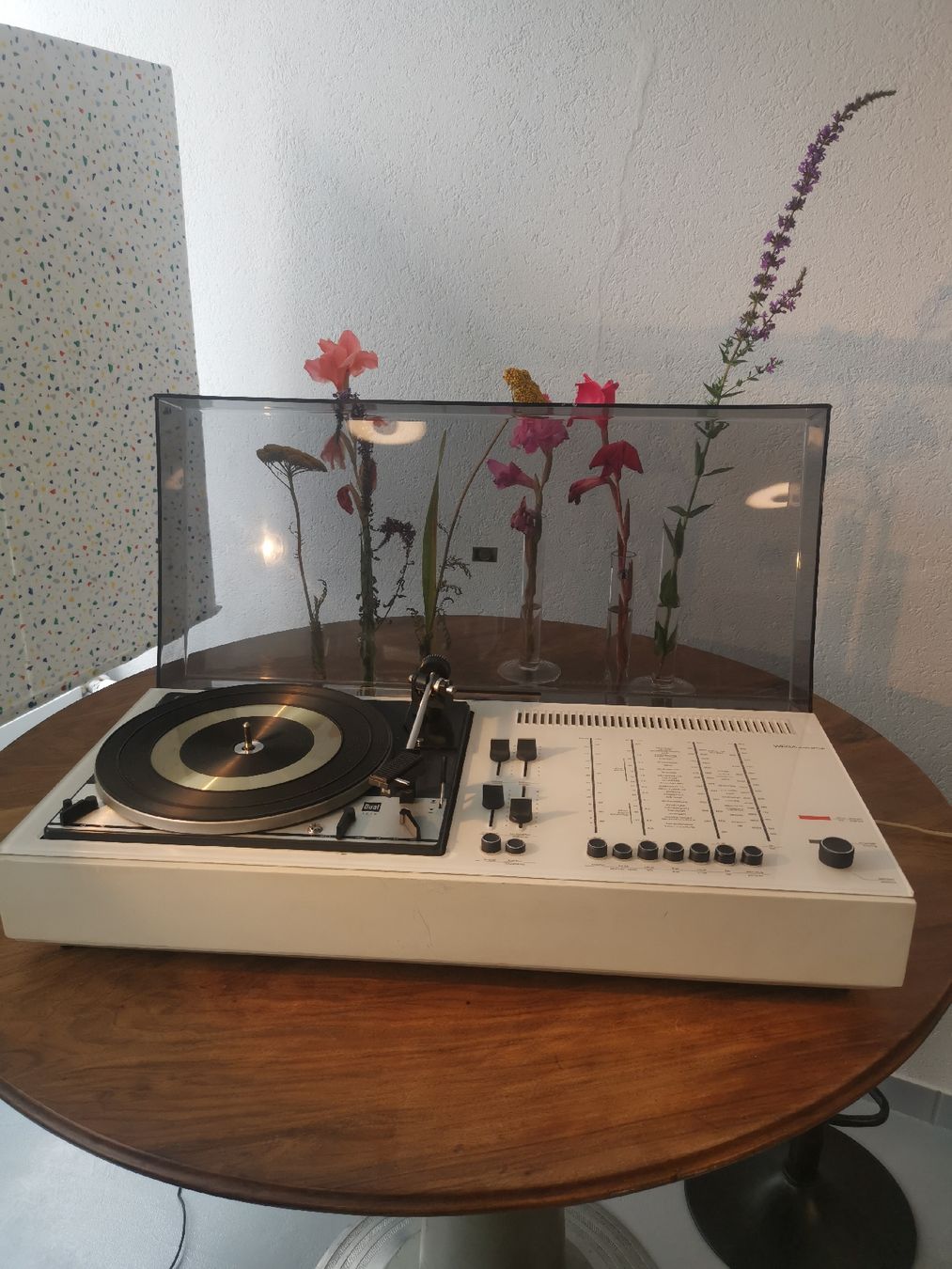 Dual Giradischi: Ensemble wega studio 3211/ dual 1214 – Usato da La neuveville venduto da Madmax1979 1