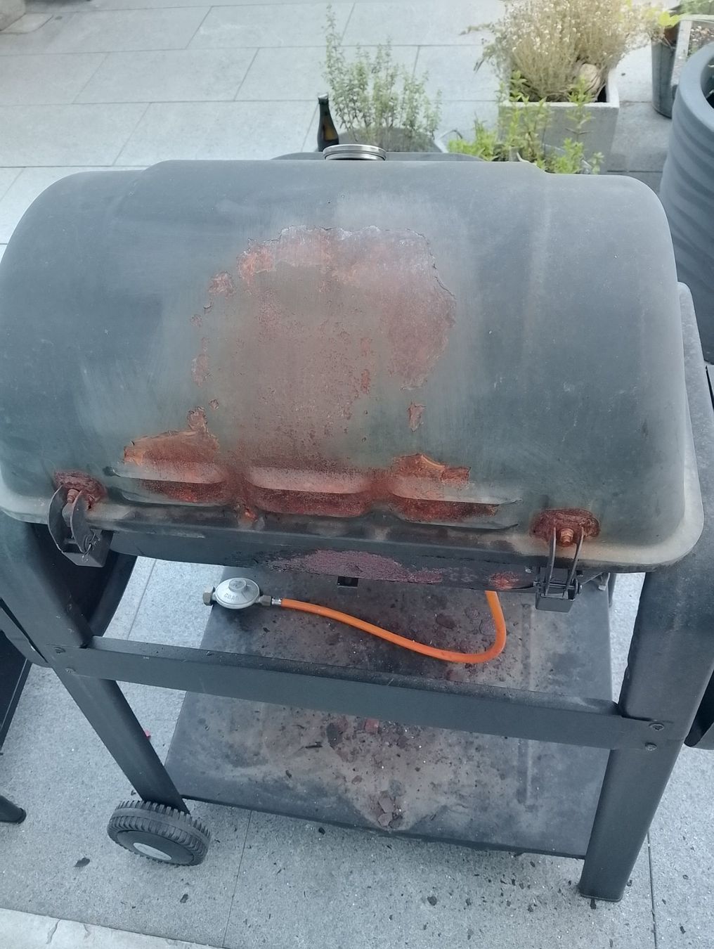 Griglie: Justy Gasgrill – Difettoso da eggersriet venduto da kon_nqm8 2