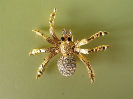 (22Q)  BROSCHE, Spinne mit 7 Beinen