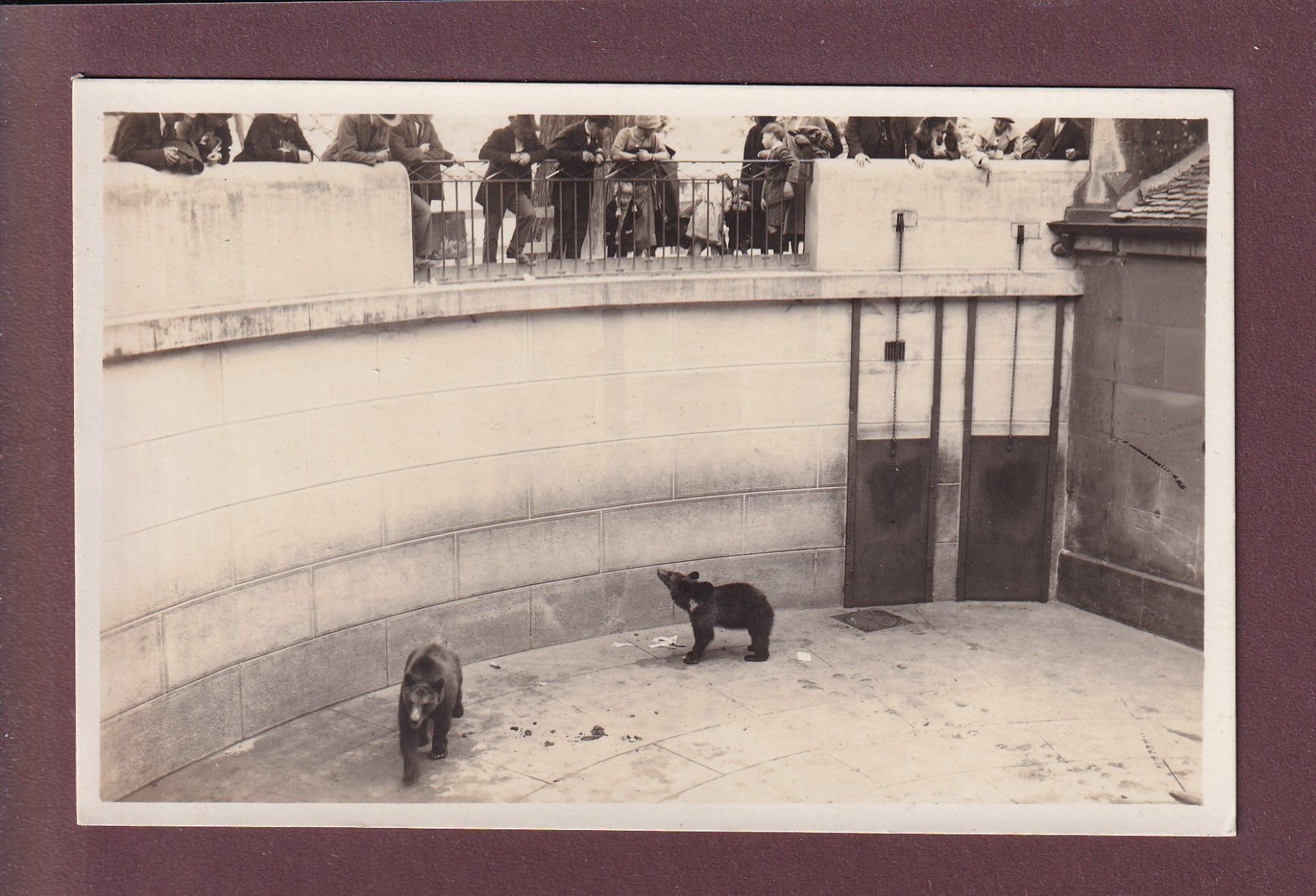 Cartes postales: BERN - Bärengraben – D'occasion à Pully par nicecards
