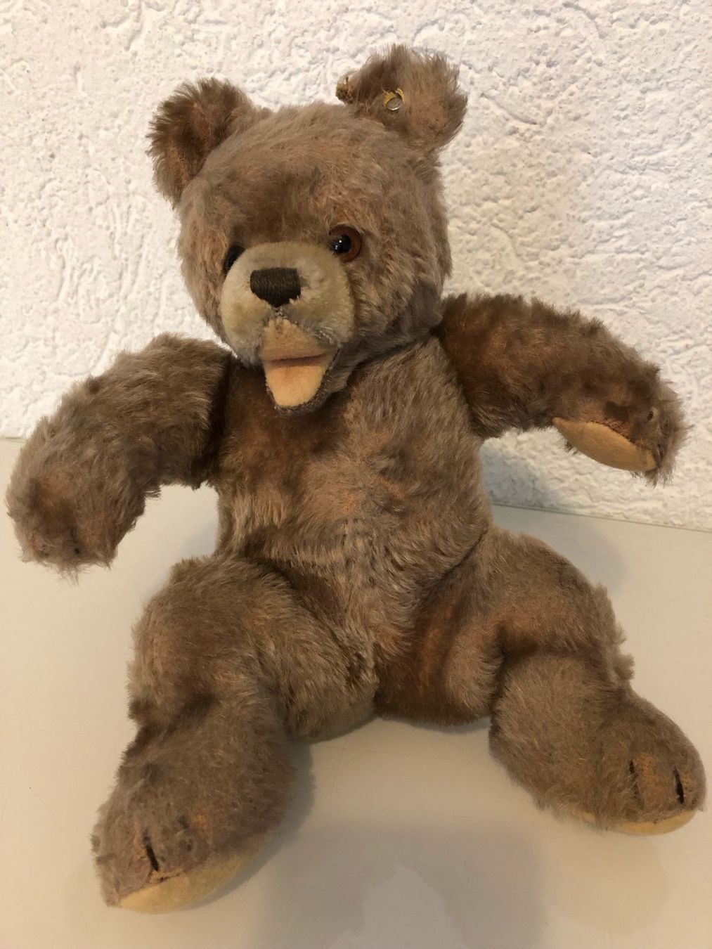 Steiff Giocattoli: Steiff Bär 50er- / 60er-Jahre – Usato da Gümmenen venduto da Ug6