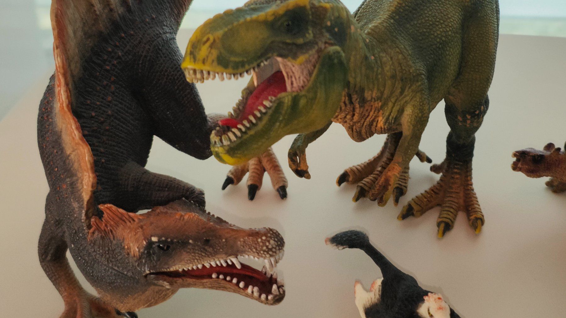 Schleich Statuette: Schleich Dinosaurier Set 5-teilig / gemischte Grössen – Usato da Bassersdorf venduto da zoooropa 1