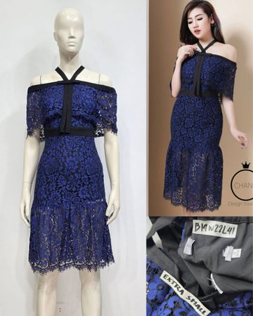 Lace Elegant Dress