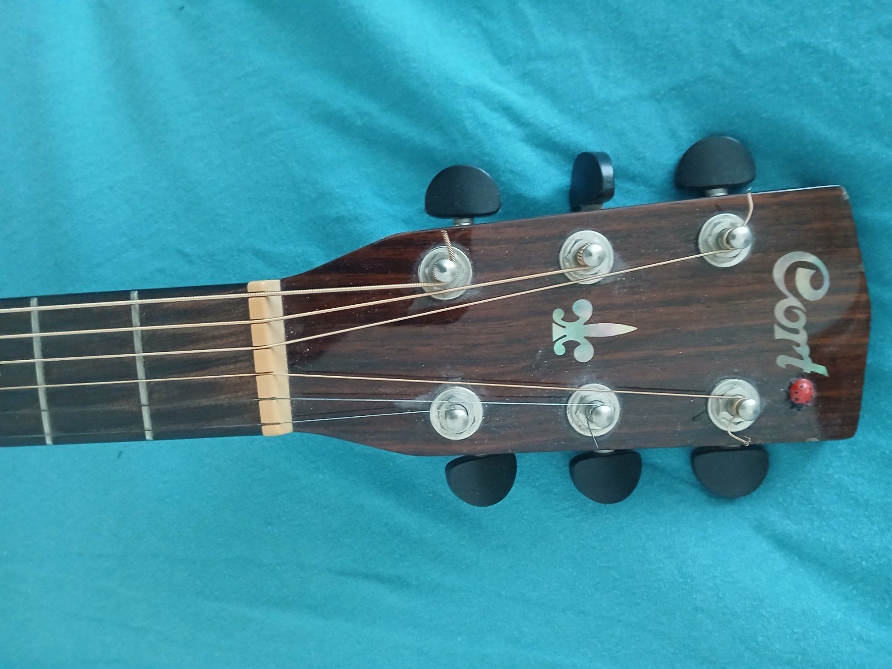 Cort Musikinstrumente: Cord MR730FX – Gebraucht aus Rosshäusern von MiriFru 1