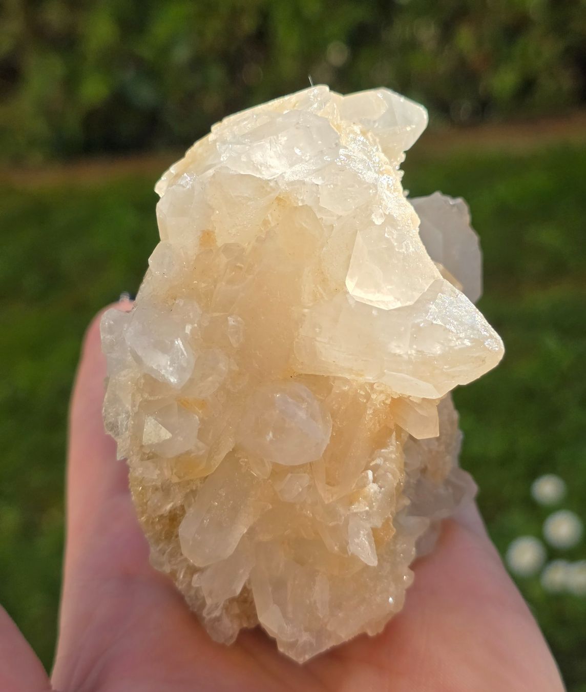 Minerali & Pietre curative: Quarz Schädel 495g – Nuovo e nell'imballaggio originale da Matzingen venduto da Shay_Crystalz 3