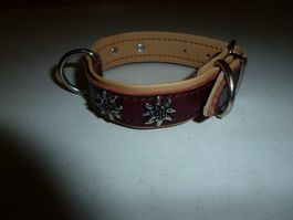 Hundehalsband