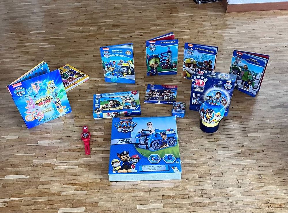 Paw Patrol Set (Gebraucht) in Villars-sur-Glâne für CHF 50 – nur ...