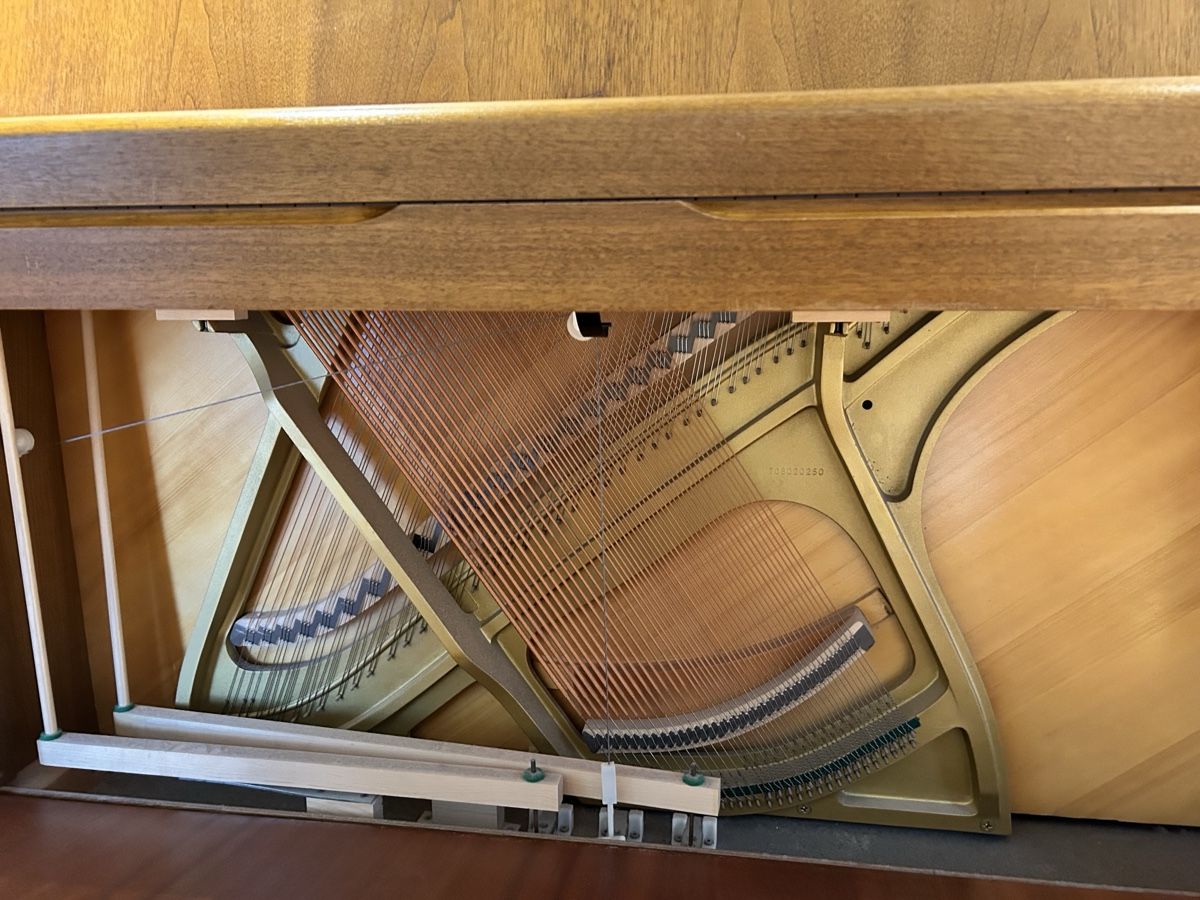 Schmidt-Flohr Strumenti musicali: Schmidt-Flohr Klavier von 1985 – Usato da Zürich venduto da art_w65h 6