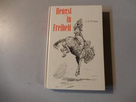 J.R. Williams Hengst in Freiheit Western Roman