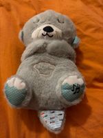 Fisher-Price Schlummerotter, Top Zustand, ab 0 Monaten