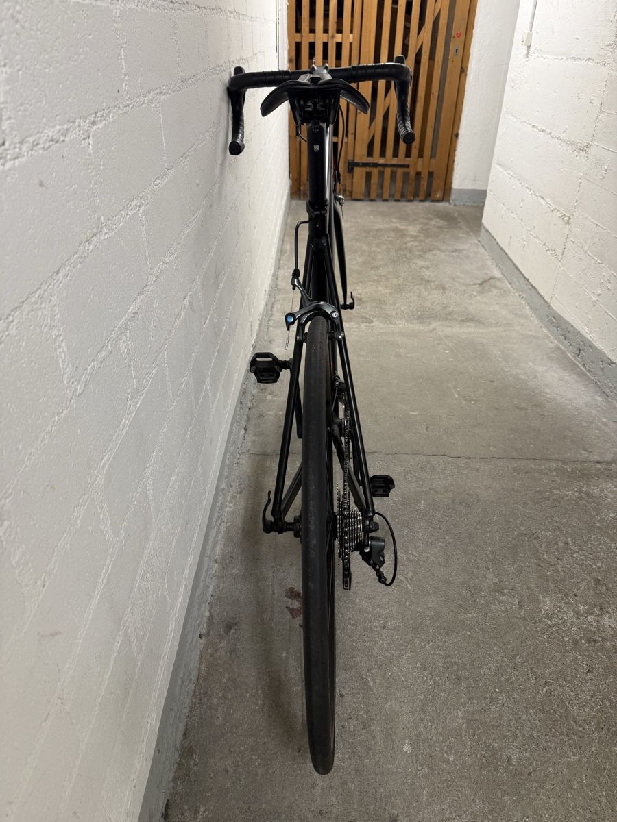 Canyon Biciclette: Rennrad Canyon Endurace AL 7.0 – Usato da Bern venduto da ice_9k97 2