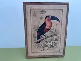 Belle représentation de toucan