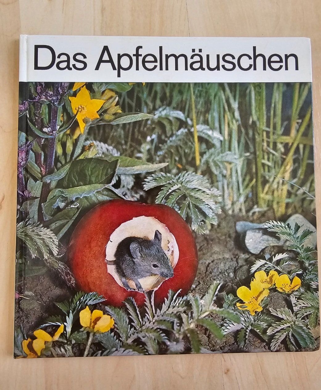 Libri: Das Apfelmäuschen – Usato da Balterswil venduto da Dikdik1992