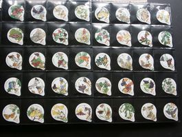Serie  7575              Falter                Gastro