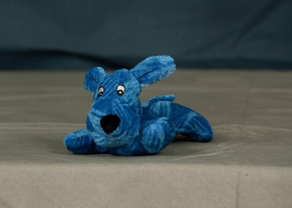 Giocattoli: Toy Dog Blue Plush – Usato da Ostermundigen venduto da Sinlimite37