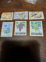 Lot de 6 timbres anciens du Liban - Collection unique!