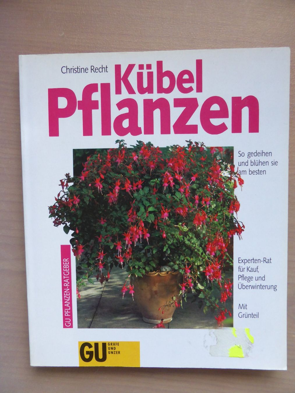 Libri: Kübel Pflanzen GU-Ratgeber – Usato da Kefikon TG venduto da sandragruen