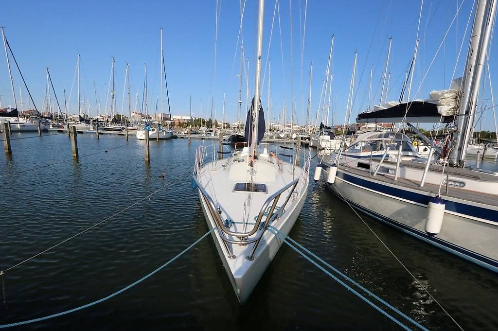 Barche: voilier golden shamrock 9 m – Usato da Vésenaz venduto da reg_zy59