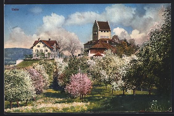 Cartoline postali: AK Uster, Ortspartie bei Baumblüte – Usato da Berlin venduto da bartko-reher
