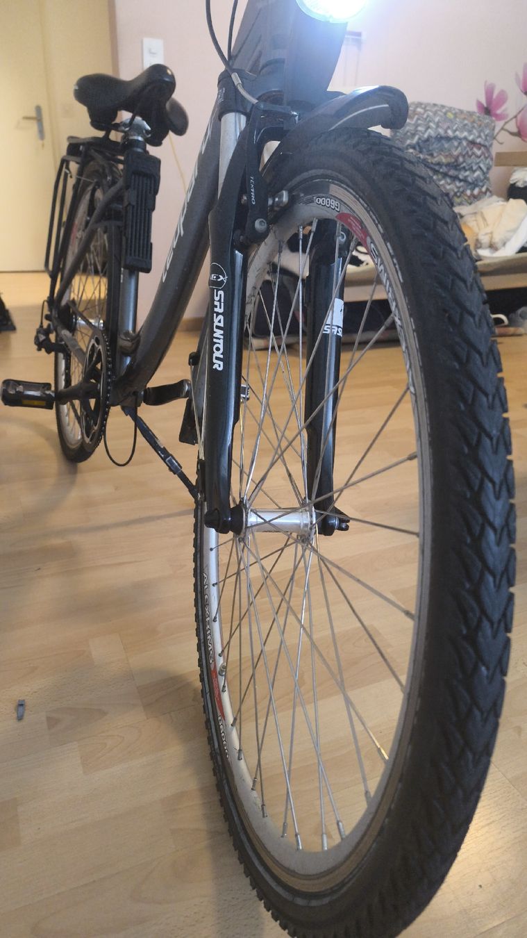 Leopard Velos: Leopard Fahrrad – Gebraucht aus Menznau von OperacionalForce 1