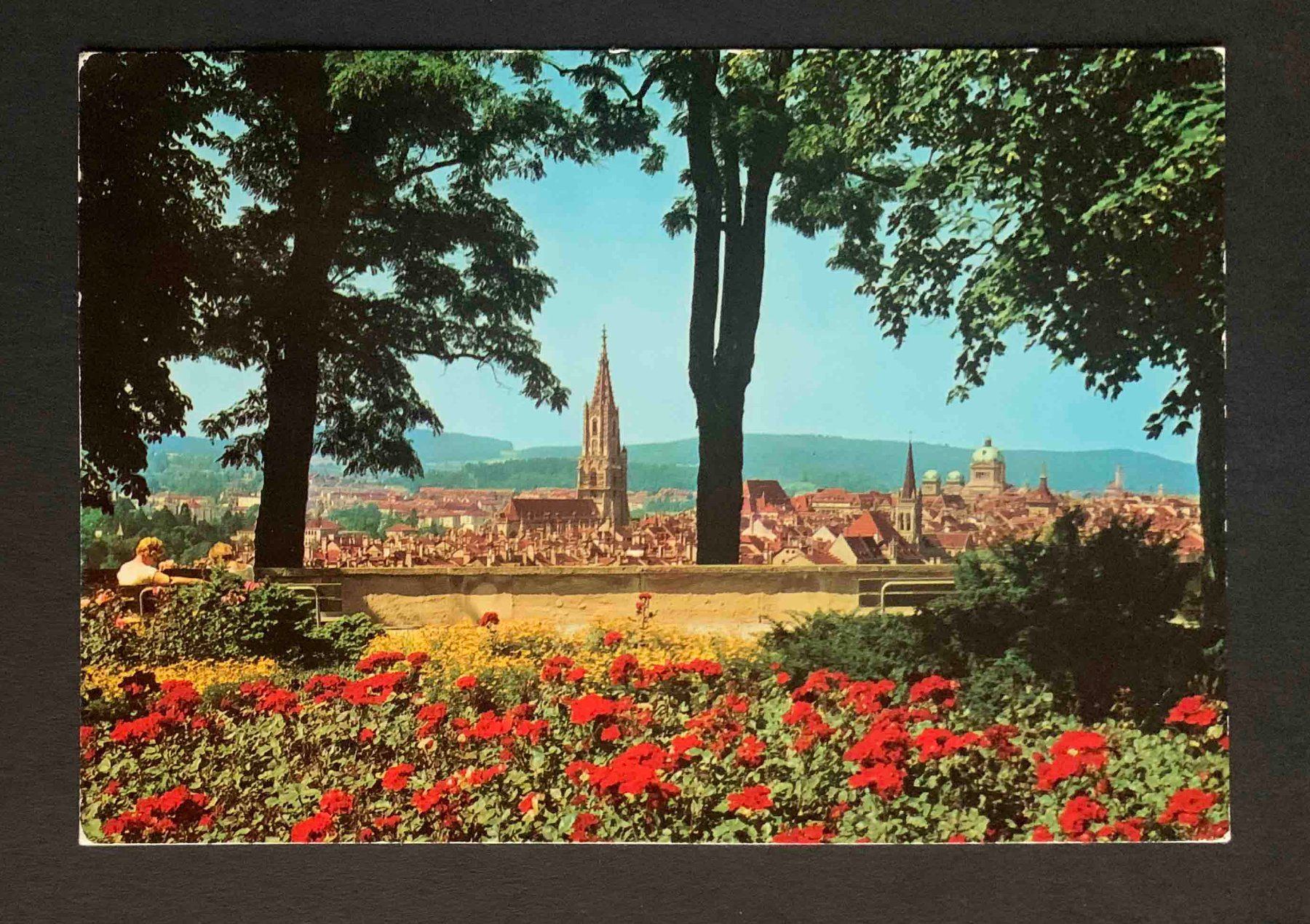 Cartoline postali: AK Bern Rosengarten – Usato da Goldau venduto da artelier1