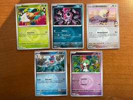 Pokemon Karten Set Reverse (Versand gratis)