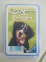 Tier Quartett Hunde - Ravensburger Spiel, komplett!