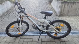 Kinderfahrrad Wheeler Junior 200 20 Zoll weiss gebraucht