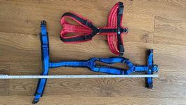 Hundegeschirr Anny-X fun Grösse M, anpassbar
