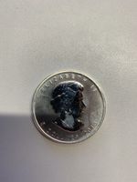 Kanada 1 oz Silber Maple Leaf 2013 Münze 5 Dollar